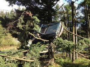 Truck in Tree